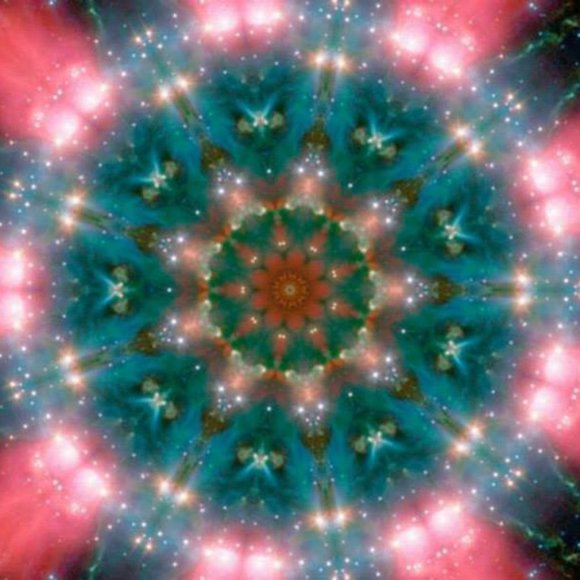 Meet your Posher, Jayma - Picture 11 of 16